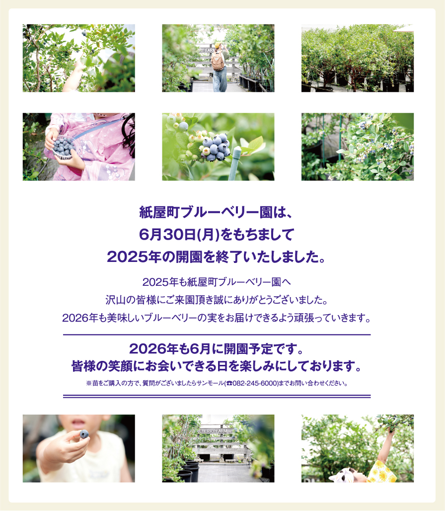 2025年の紙屋町ブルーベリー園は終了しました。