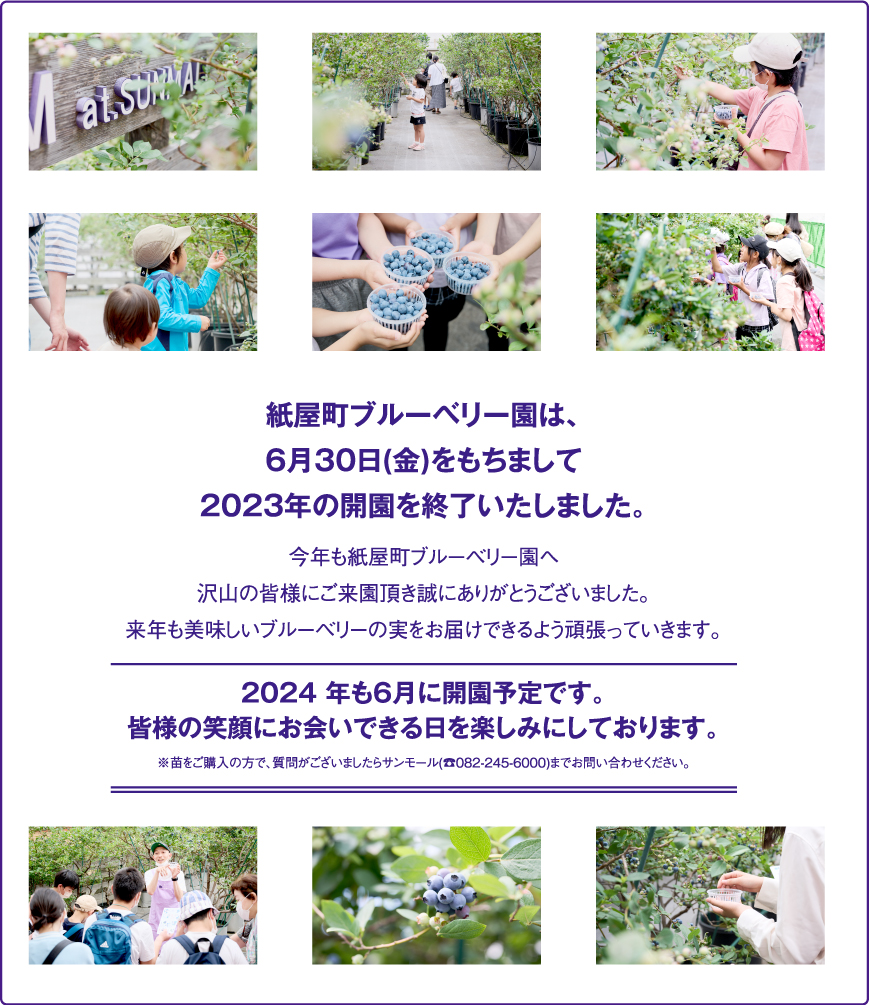 2023年の紙屋町ブルーベリー園は終了しました。