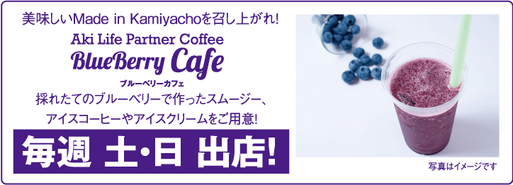 Blue Berry Cafe