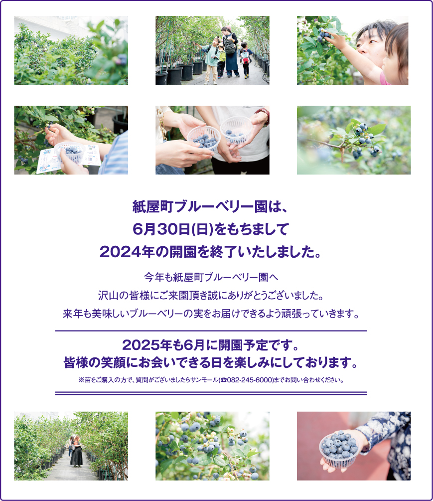 2024年の紙屋町ブルーベリー園は終了しました。